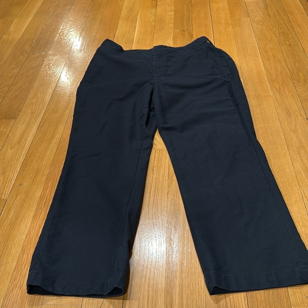 Coldwater Creek Natural fit pants size 14 .